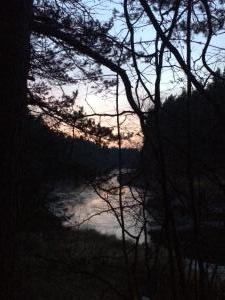 IMG 7661